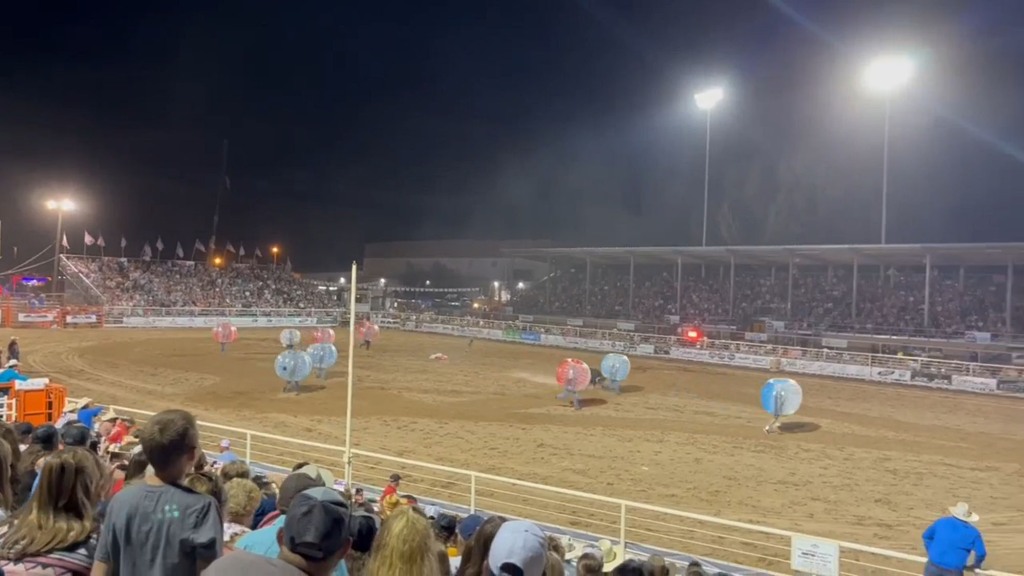 The contestants were participating in a bubble race, bubble ball bull racing," in which ten people wearing large inflatable hamster balls race each other around the arena while avoiding a loose bull.