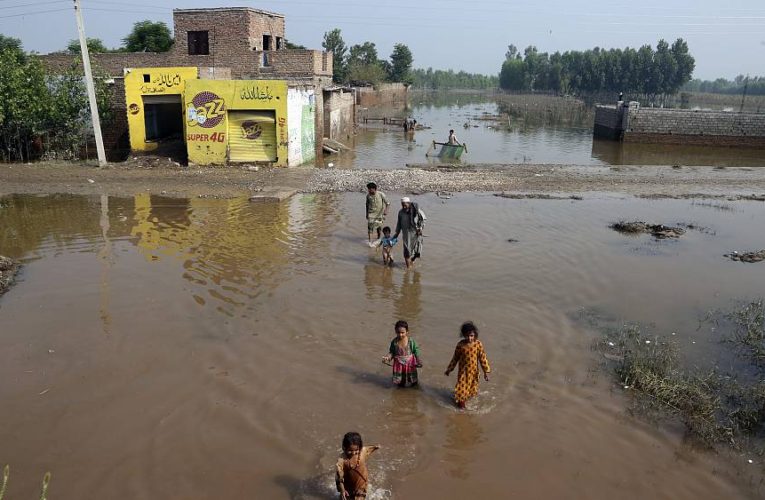 Pakistan ambassador calls for international donors conference to help with flood damage