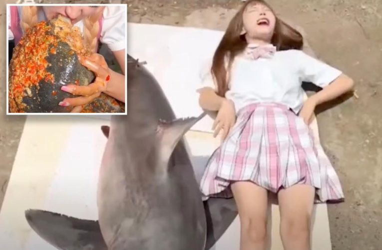 Food blogger investigated after great white feast on camera