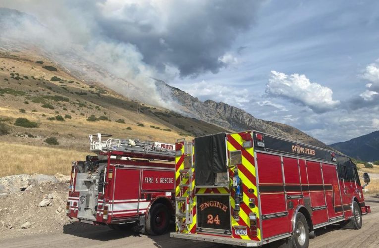 Man trying to kill spider with lighter sparked Utah wildfire: cops