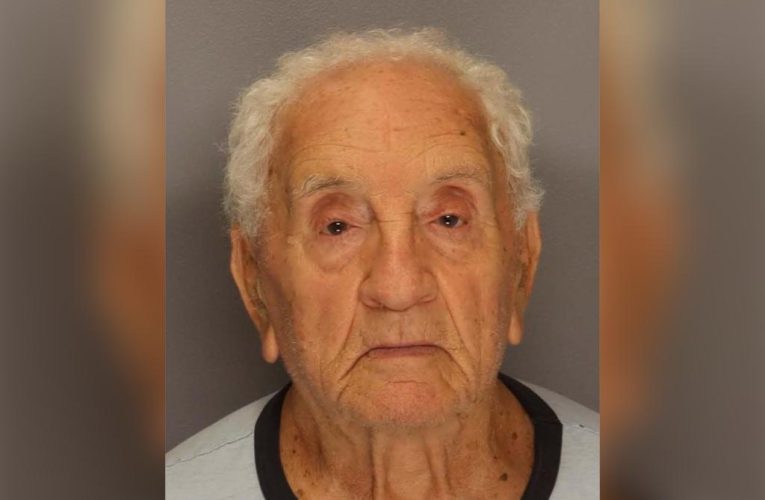 NJ man, 86, who sexually abused girl gets probation, no jail time