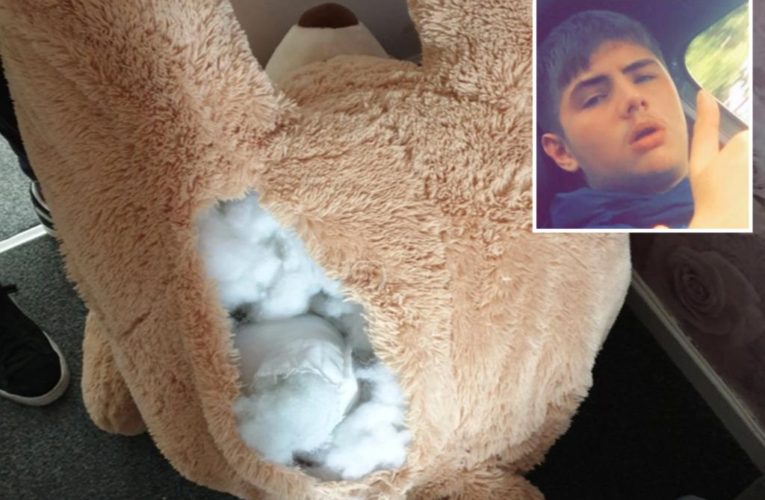 UK man Joshua Dodson busted by cops after hiding inside a giant teddy bear