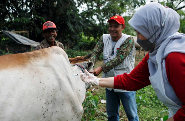 Bali added to Indonesia’s priority list for hand, foot and mouth disease as cases surge