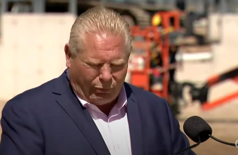 Ontario Premier Doug Ford swallows bee during news conference: video