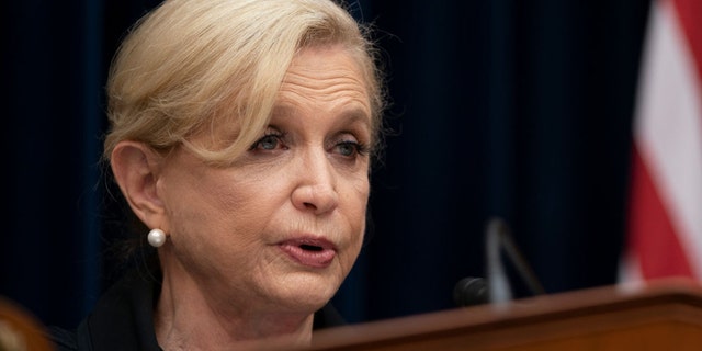 WASHINGTON, DC - SEPTEMBER 30:  Chairwoman Carolyn Maloney (D-NY) delivers her opening statement at a hearing of the House Oversight and Reform Committee on September 30, 2020 in Washington, DC. (Photo by Alex Edelman-Pool/Getty Images)