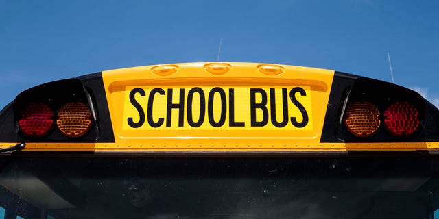 This file photo shows a yellow public school bus. 