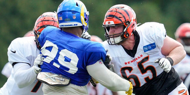 Cincinnati Bengals guard Alex Cappa (65) and offensive tackle La'el Collins, left, block Los Angeles Rams defensive tackle Aaron Donald (99) during a drill at the team's training facility in Cincinnati on Aug. 24, 2022.