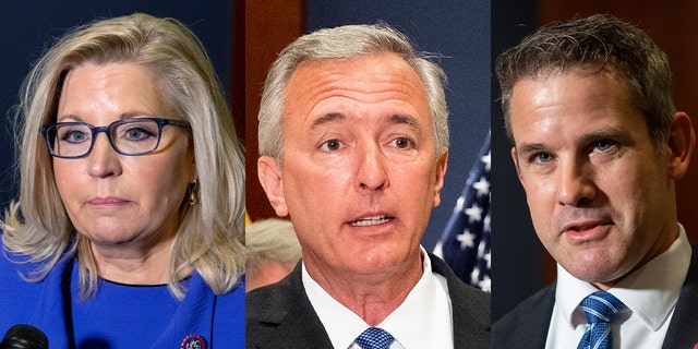 Reps. Liz Cheney (L), John Katko (C) and Adam Kinzinger