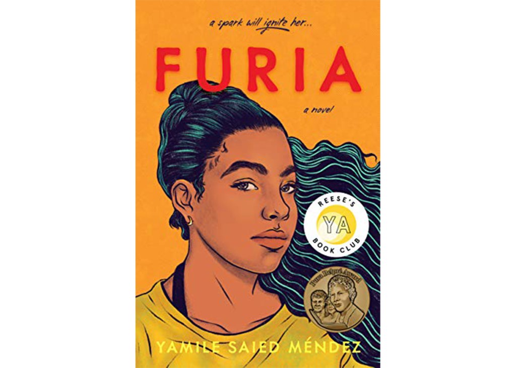 'Furia' by Yamile Saied Mendez