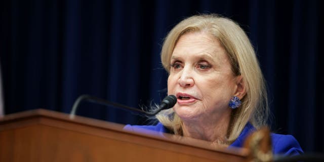 House Oversight Committee chairwoman Rep. Carolyn Maloney (D-NY) is running in the Democratic Party primary for New York's new 12th district against Nadler.