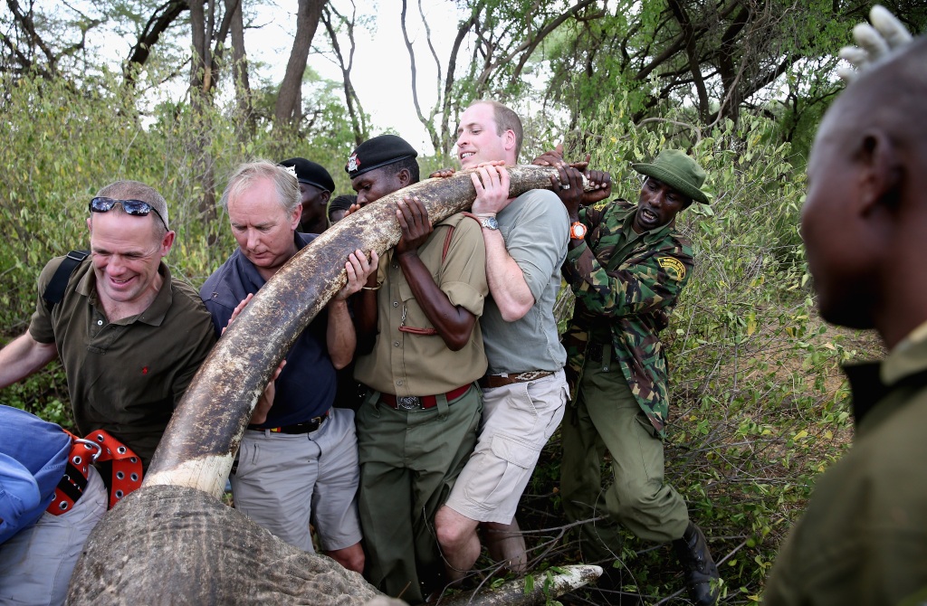 Prince William believed Kromah's punishment is proof tools can be used to combat animal trafficking. 