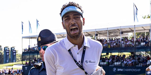 A man is taken away after the play of Rory McIlroy and Scott Stallings was disrupted during the BMW Championship on Aug. 20, 2022.