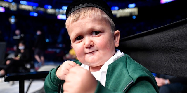 Hasbulla Magomedov is seen in attendance during the UFC 267 event at Etihad Arena in Abu Dhabi, United Arab Emirates, on Oct. 30, 2021.