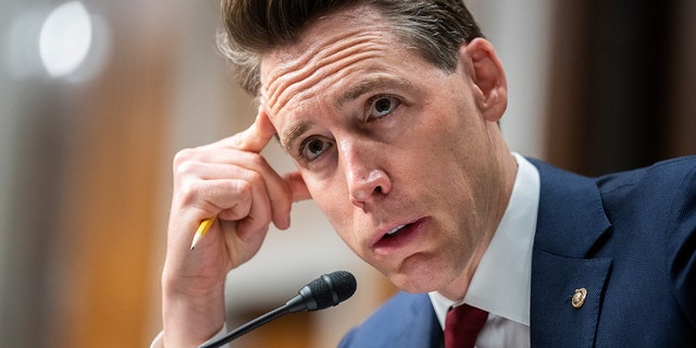 During a Senate Judiciary Committee hearing Thursday, Sen. Josh Hawley, R-Mo., questioned FBI Director Christopher Wray on the whistleblower’s report and on whether he was aware that 324 — not 50 — individuals had entered the U.S. with derogatory information, presenting a "graver" situation.