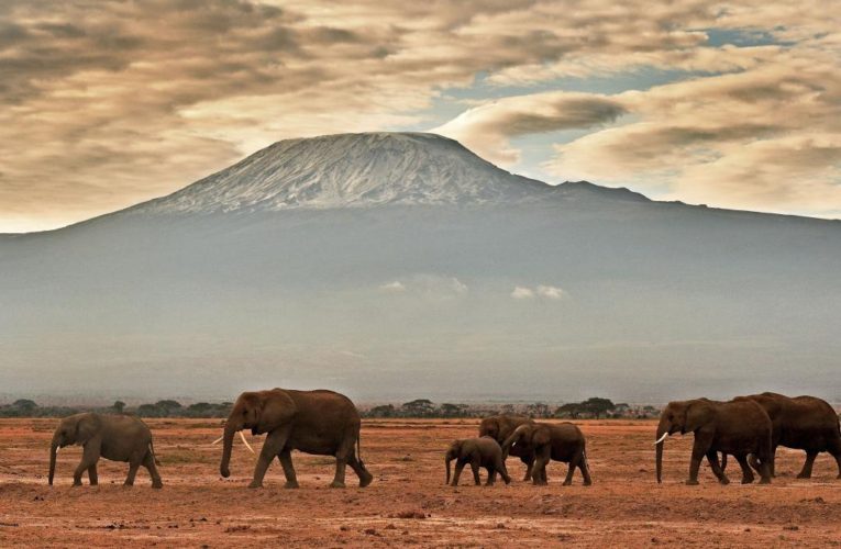 Mount Kilimanjaro gets internet so climbers can post pics