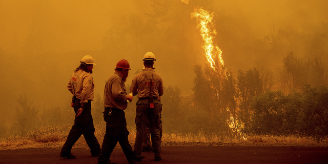 Flames from the McKinney Fire burn beyond firefighters in Klamath National Forest, Calif., on Sunday, July 31.