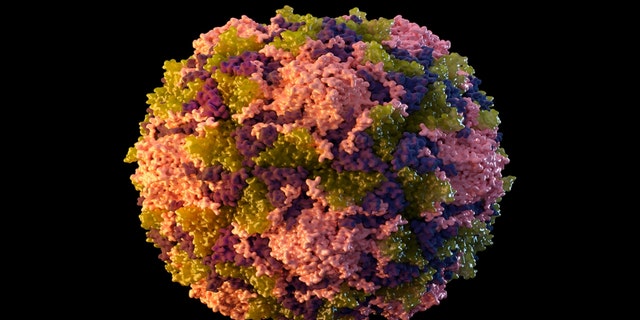 This 2014 illustration made available by the U.S. Centers for Disease Control and Prevention depicts a polio virus particle. On Thursday, July 21, 2022.