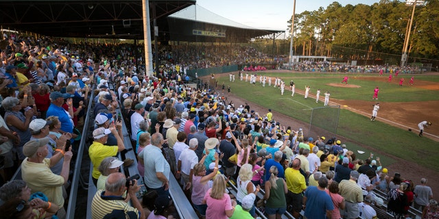 The Savannah Bananas, who became a national sensation with their irreverent style of baseball, are leaving the Coastal Plains League to focus full attention on their professional barnstorming team. Owner Jesse Cole made the announcement in a YouTube video, saying "we'll be able to bring the Savannah Bananas to more people in Savannah and around the world."