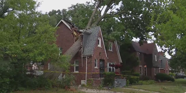 A tree falls on a house after Michigan storms