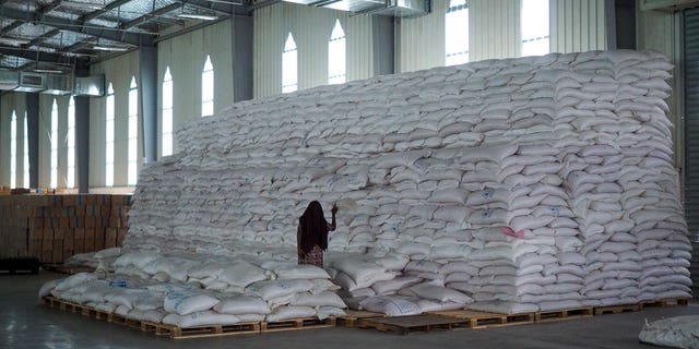 A worker walks next to a pile of sacks of food earmarked for the Tigray and Afar regions in a warehouse of the World Food Programme (WFP) in Semera, the regional capital for the Afar region, in Ethiopia on Feb. 21, 2022. 