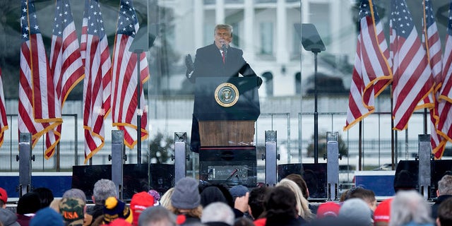 US President Donald Trump speaks to supporters from The Ellipse near the White House on January 6, 2021, in Washington, DC. 