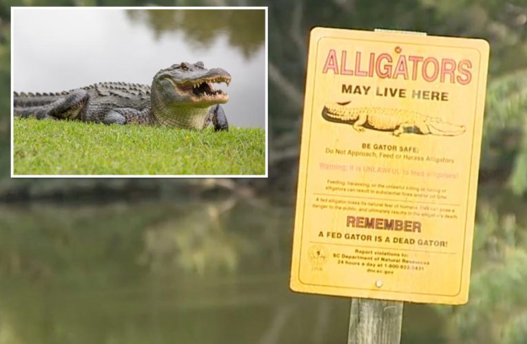 Alligator kills 88-year-old S. Carolina woman Nancy Becker