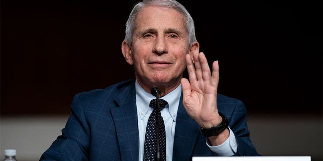 Dr. Anthony Fauci, White House Chief Medical Advisor and Director of the NIAID, responds to questions from Sen. Rand Paul (R-KY) at a Senate Health, Education, Labor, and Pensions Committee hearing on Capitol Hill.