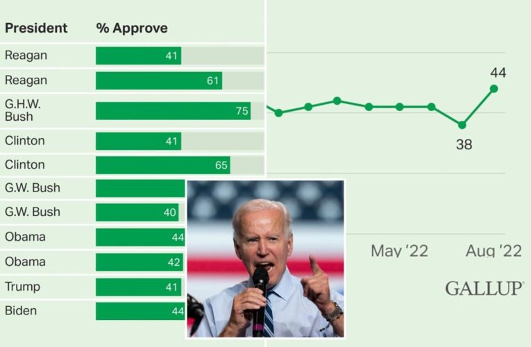 Biden’s job approval rises to 44%, highest in a year: Gallup poll