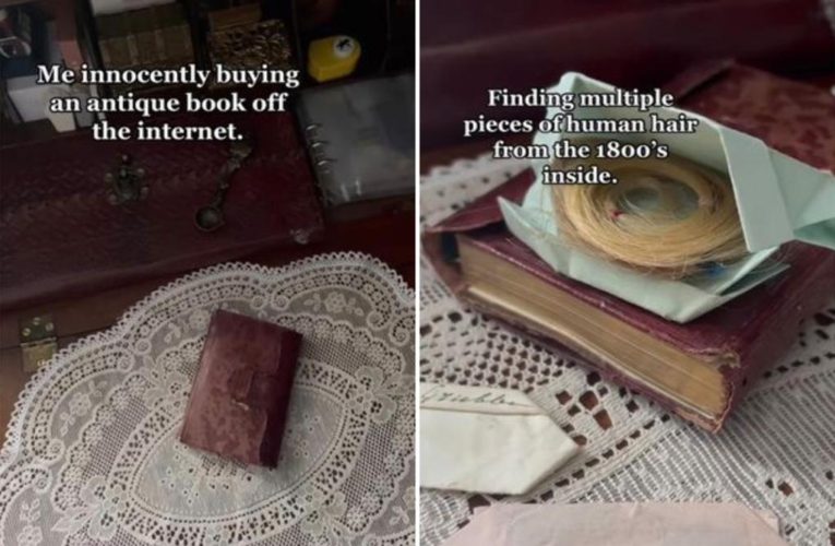 Human hair found in antique book from the 1800s