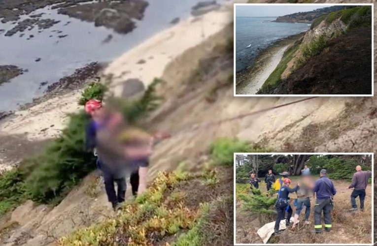 Man survives 100-foot fall off cliff in California