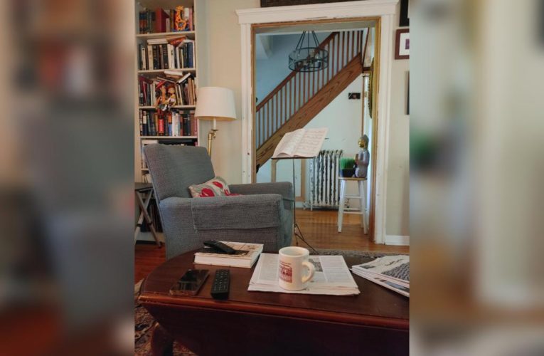 Can you find the ‘sneaky’ cat hiding in this living room?