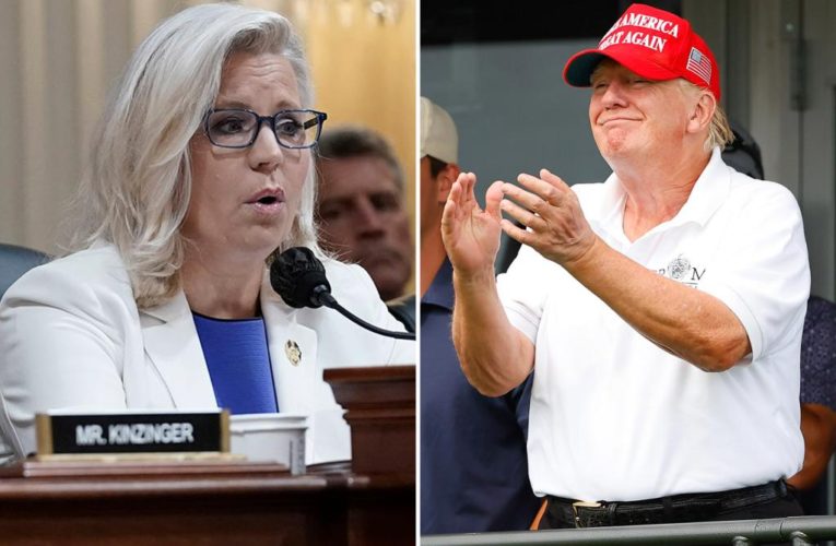 Rep. Liz Cheney pushes Trump charges