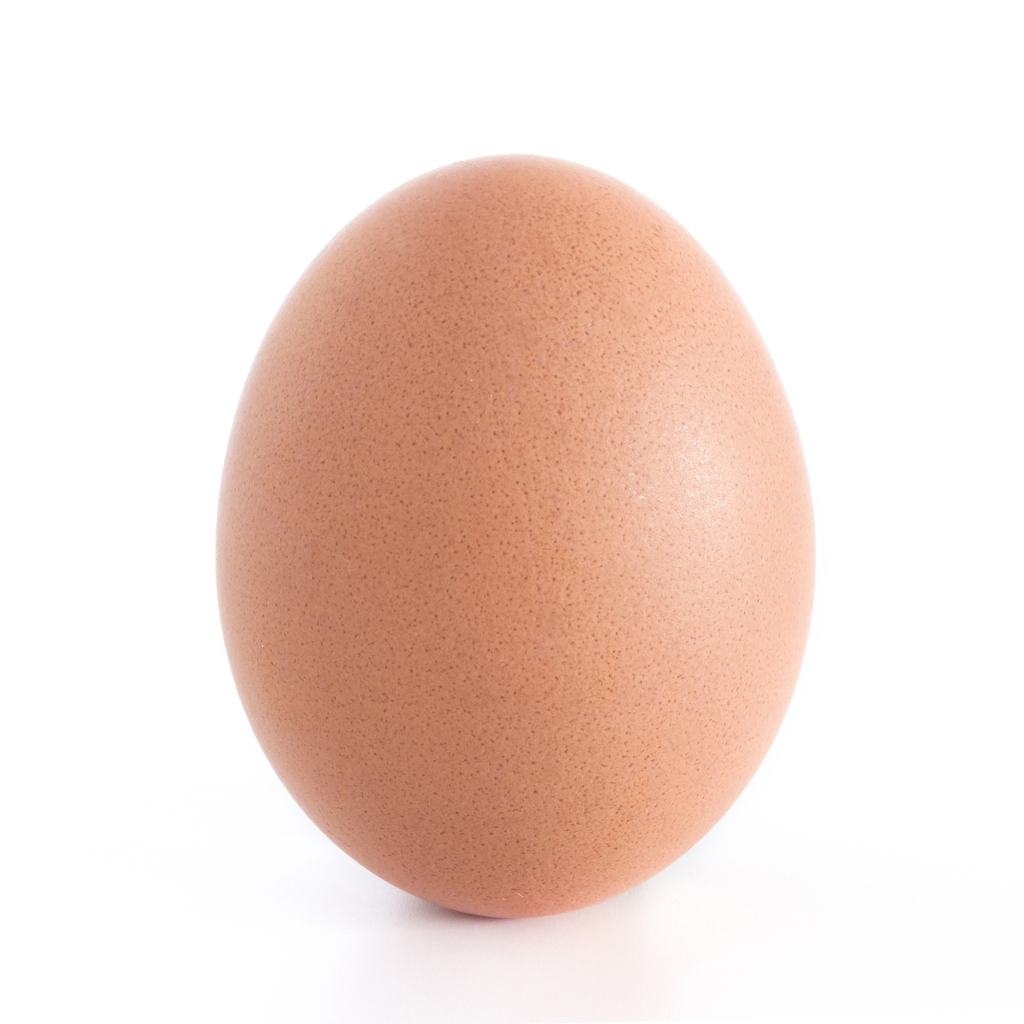 The humble egg has been maligned over the years, but it contains 11% of the protein humans need daily. Egg replacement products, however, typically provide little protein and contain added sugars such as gum cellulose dextrose.