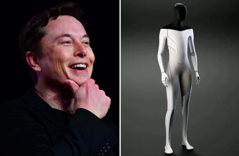 Elon Musk unveils Tesla robot, says it will perform ‘boring’ chores by year’s end