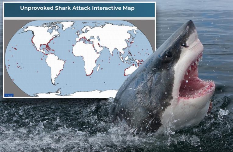 Where you’re most likely to experience a shark attack: map