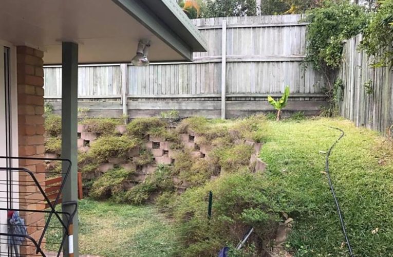 Only the best eyes can spot the huge snake hidden in this backyard