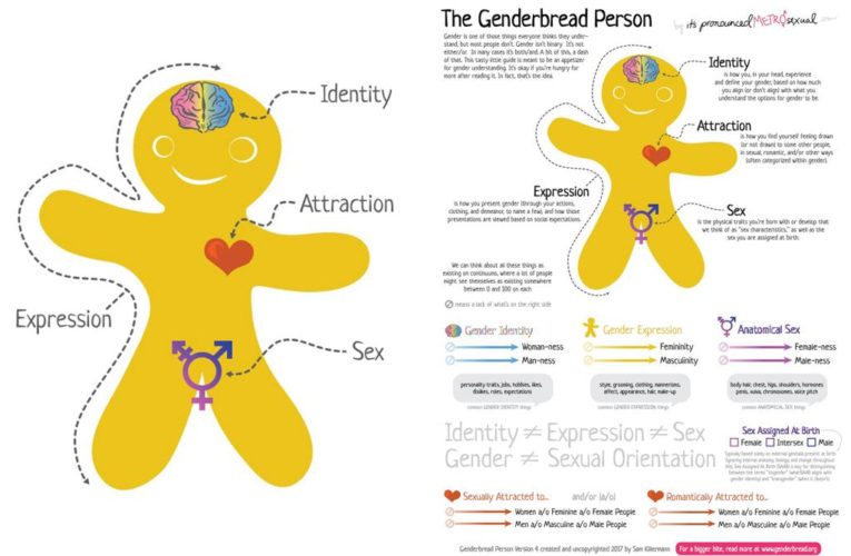 Newport-Mesa Unified School District curriculum includes ‘Genderbread Identity’ man