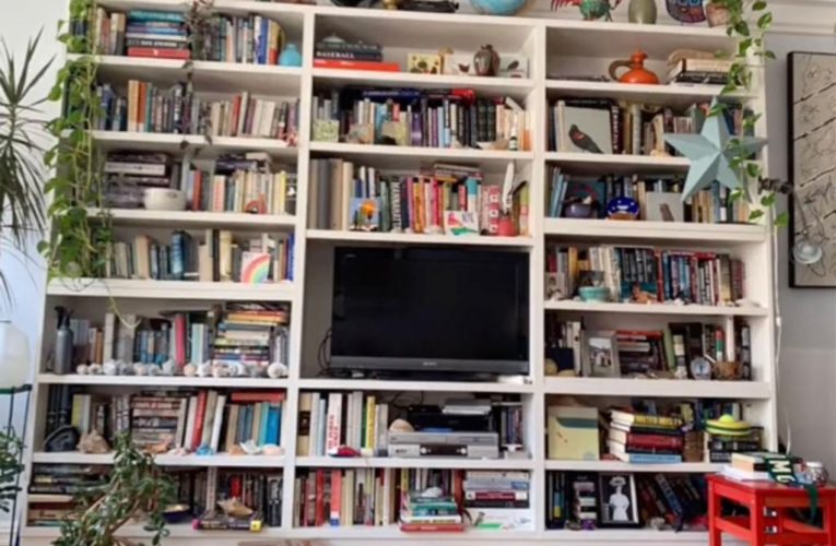 Can you find the covert kitty hidden in this packed bookcase?