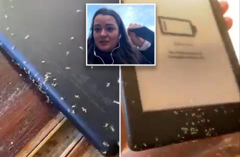 Ants infest woman’s Kindle — and start buying books on Amazon