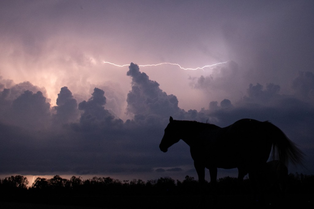 An unattended horse is seen in a lightning storm.