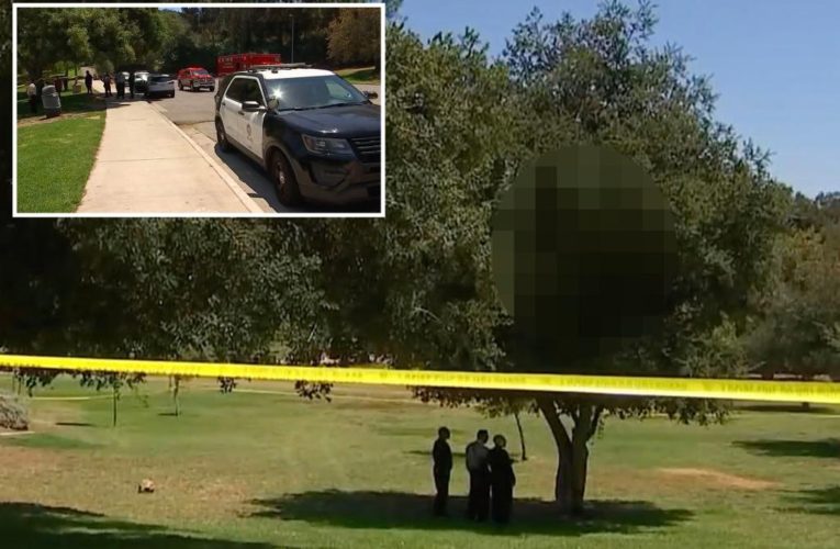 Burning body found hanging from tree in Los Angeles park