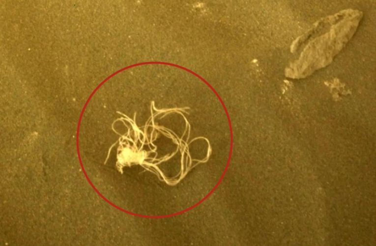 NASA provides explanation for stringy material found on Mars surface