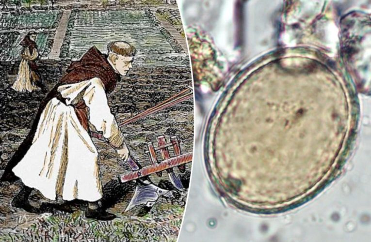 Medieval monks were ‘riddled with parasites’ from farming with own poop: study