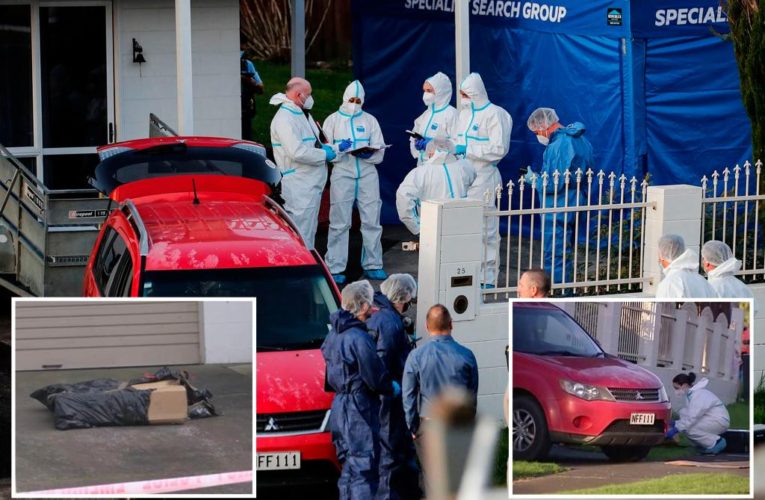 Bodies found in suitcases in New Zealand IDed as 2 children