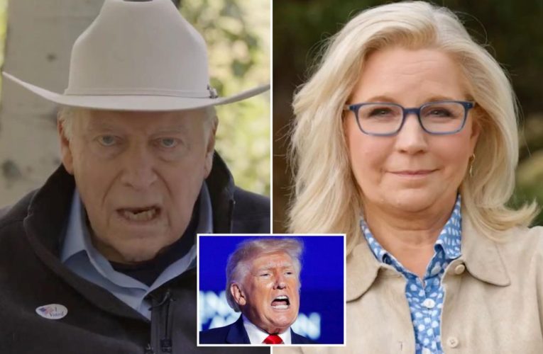 Ex-VP Cheney calls Trump ‘coward’ in ad backing daughter Liz