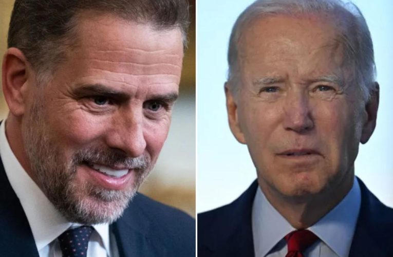 Joe Biden met Chinese energy execs with ties to Hunter in 2014