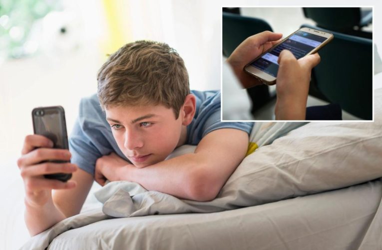 Social media offers parents more controls