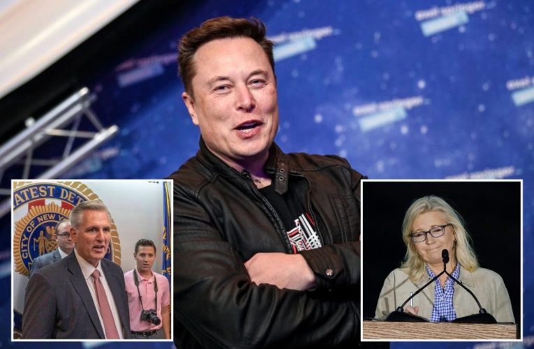Elon Musk chatted up Kevin McCarthy at Wyoming retreat before Liz Cheney loss