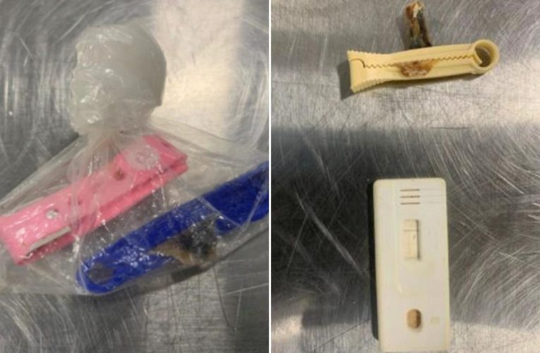 New Orleans CBP agents find human umbilical cords in airport luggage