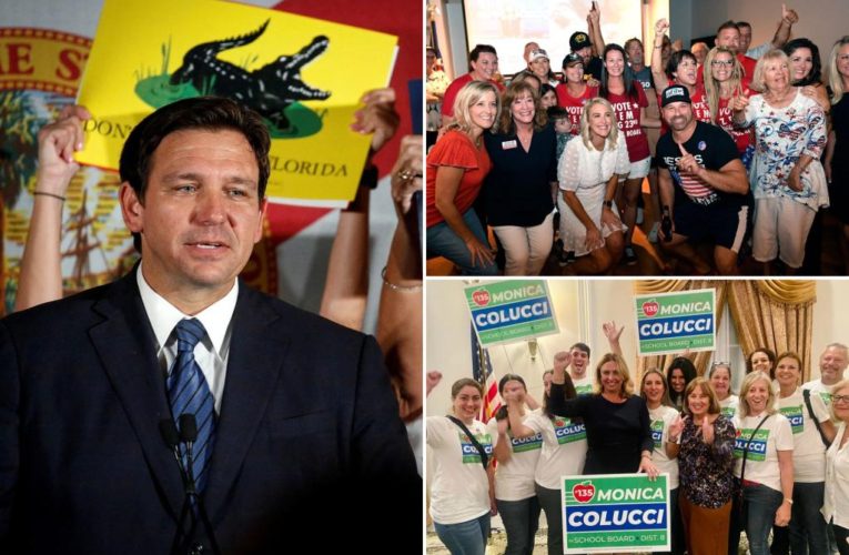 DeSantis-backed school board candidates win Florida elections